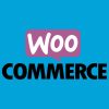 tiendas virtuales con woo commerce